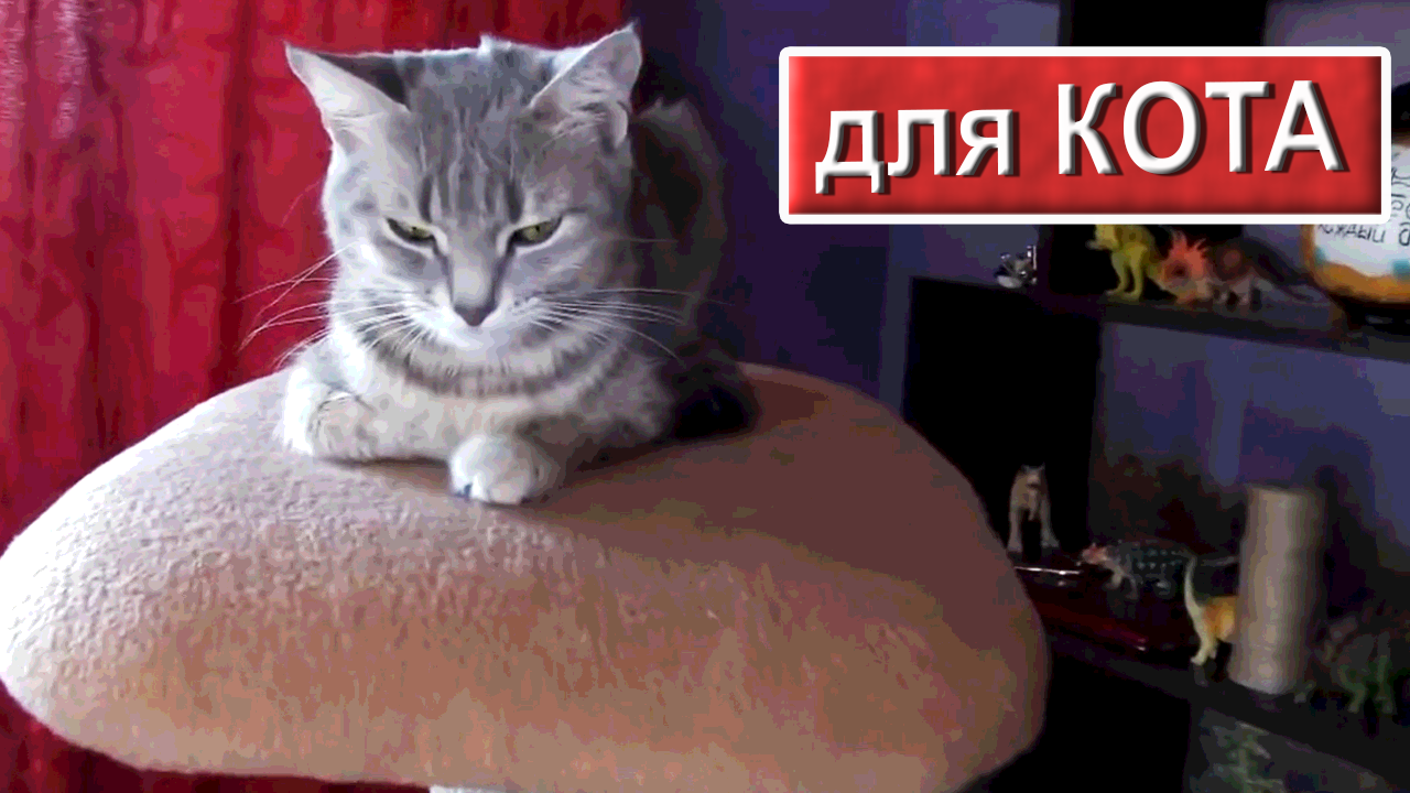 Как сделать КОГТЕТОЧКУ для Кошки