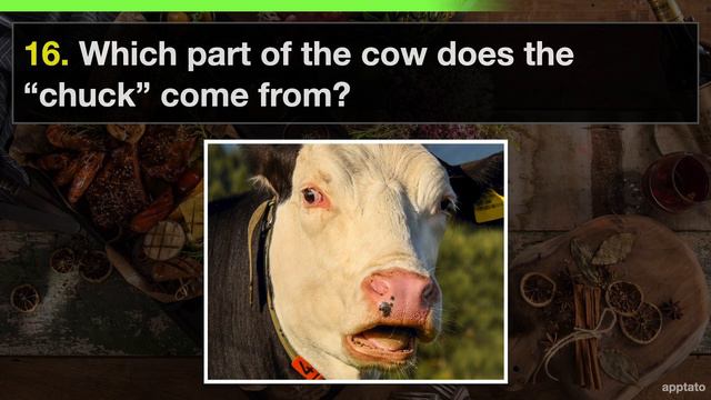 E45e28349238e2d0fac62b89ef70b061