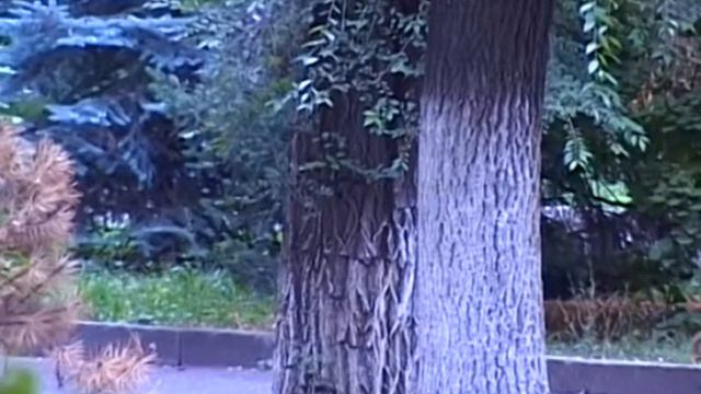 песни душевный причал