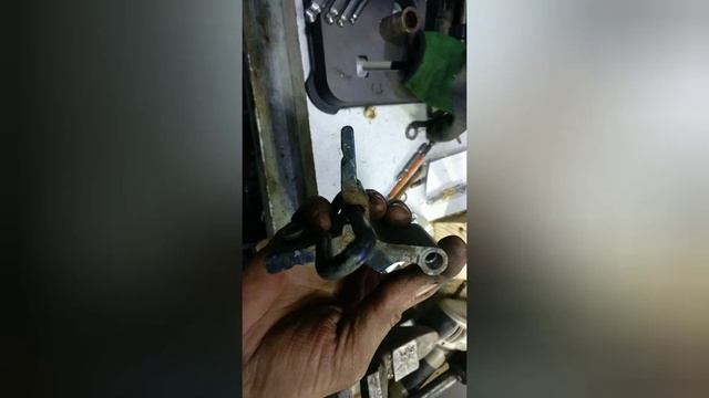 Цветочная уборка