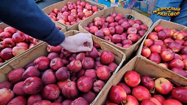 ?Узнай цены первым! ⚓Одесса Оптовый Привоз Сегодня 31.10.2023?