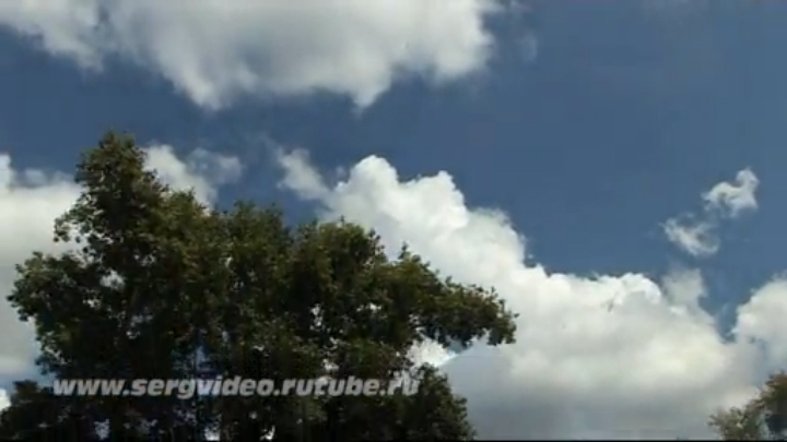 Свадьба  Алексея и Анны