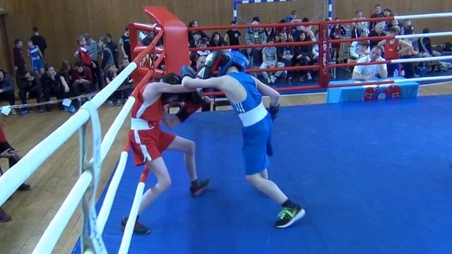 Турнир по боксу памяти Е.И. Феофанова 2017