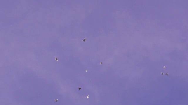 29bc4edcecb4bd4c6b77eec8cfc1cad0