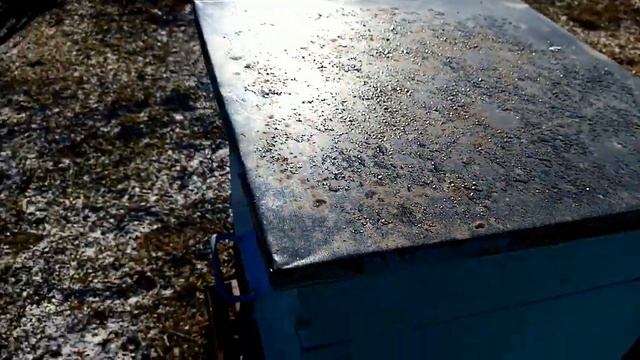 Пчеловодство,,.Провальная ,,  зимовка пчёл  на  23-24г.???