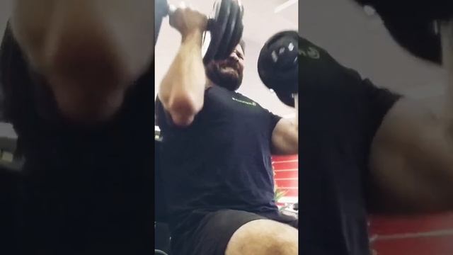 CEBOLA OMBROS - CONSTRUIR MASSA MUSCULAR RÁPIDO ACADEMIA
