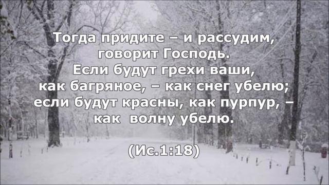 Белый снег. Группа Радость.