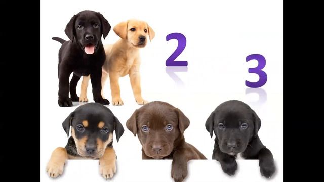 42367be313eedf67c49f7f5560939632