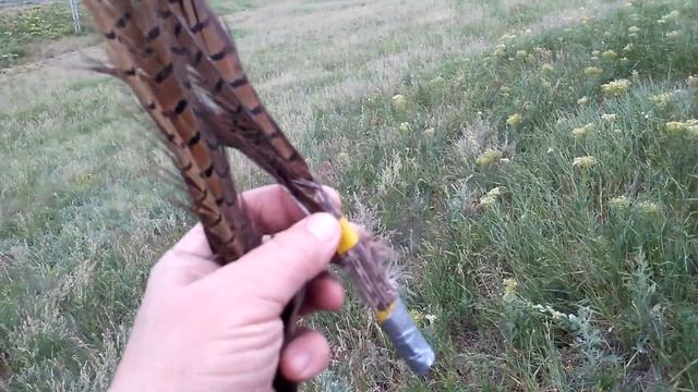 E62b52682d61b46b82ce8298504fdcb7