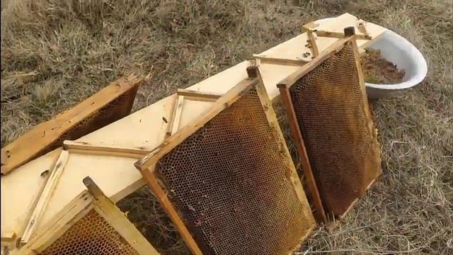 поилка для пчел