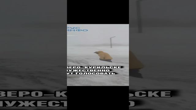 В г. Северо-Курильск избиратели мужественно идут голосовать