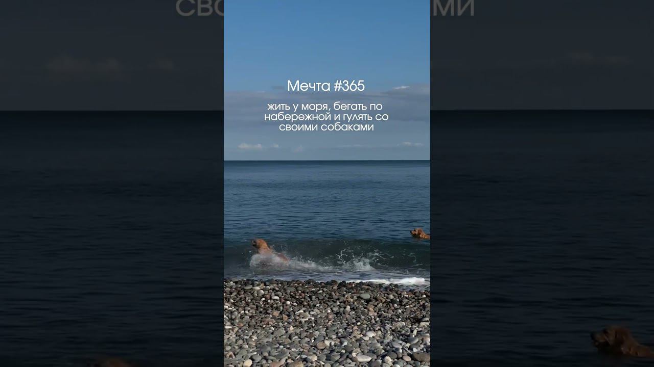 Inst: Vareshka_nutrition #нутрициолог #отпуск #грузия #батуми #море #dream #sea