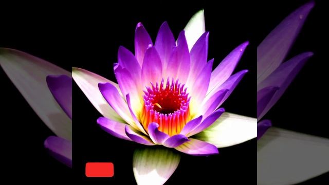 Spiritual music piano music Spiritual mantra music Yoga and meditation music. Relaxing music.