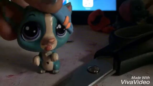 Кто х мк на пета?