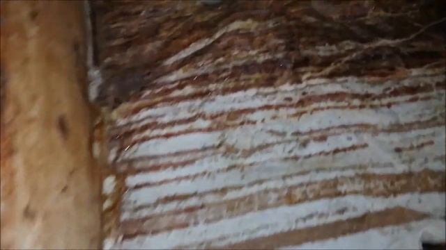 Замена холстика у пчёл(зимой)