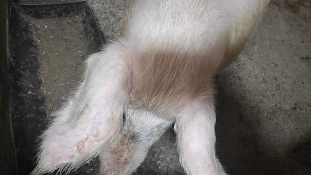 305220d3007b25b103870b91a16e4d7d