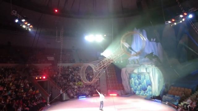 Самый лучший цирк)))