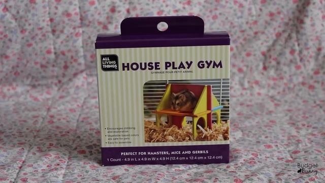 BudgetBunny: PetSmart Haul