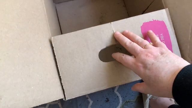 Storing Geraniums Over Winter  HD 1080p