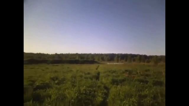 Как избавться от клещей. How To Get Rid Of Mites.