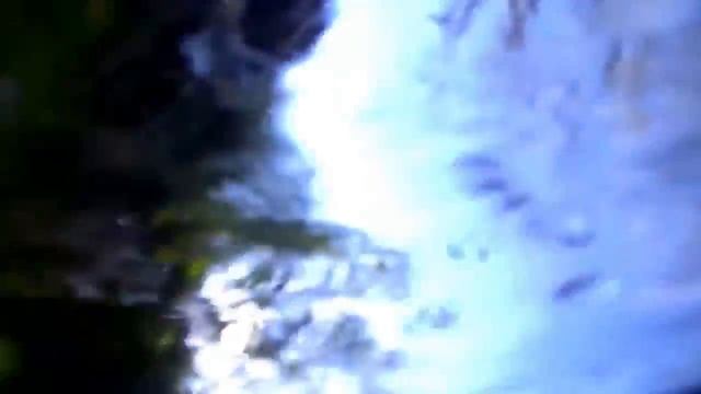 84ed6f4fd898c49761fda350da628848