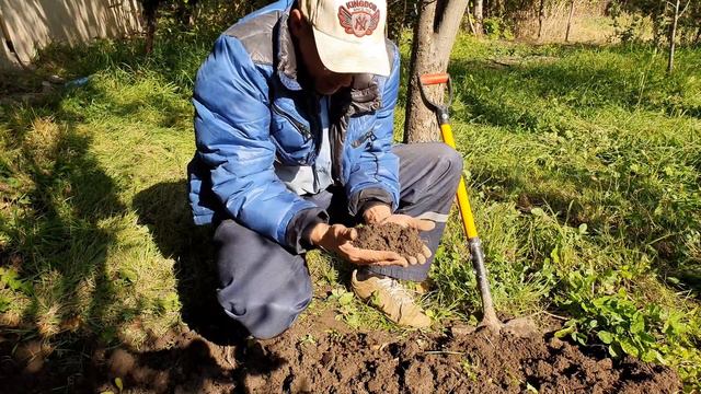 3 Помою самородок в стаканчике 3
