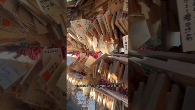 Рабочий японский способ для загадывания желаний #япония #студенты #токио #новыйгод #2023 #желание