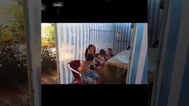 Super Mr Martin. Праздник в Израиле суккот