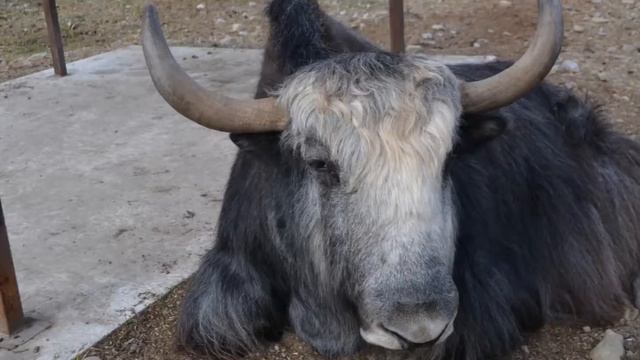 Карелия ВАЛААМ и турбаза 