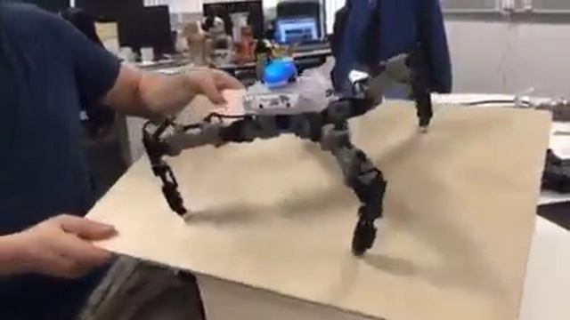 Очень устойчивый робот