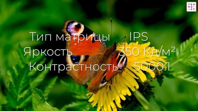 Видеообзор QLED телевизора MAUNFELD MQT50USD03