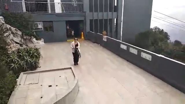 Гибралтар обезьяны воруют сумки у туристов