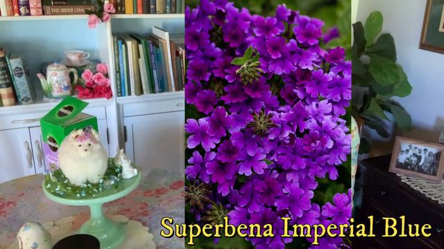 0e7a60dbd02570dcead2910f7a393164