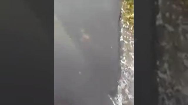 Микроавтобус отправляется с Петрозаводской улицы на станцию метро Водный стадион