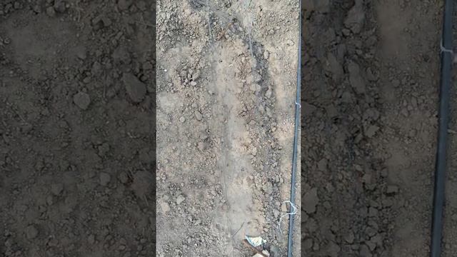 50480a0fd8d2f02318248716d6fd1349