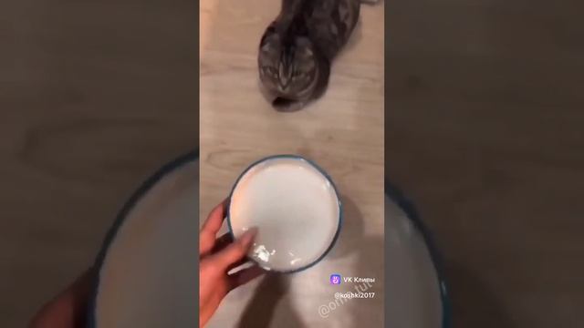 85172bc70329c2798cbaeca751c171fe