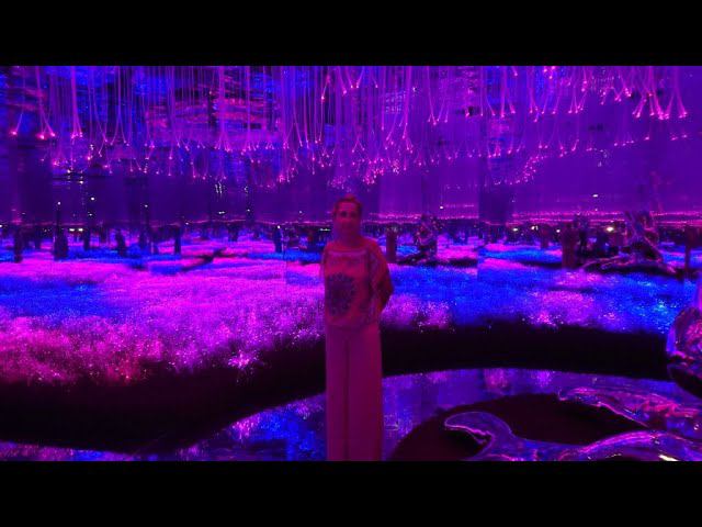 Шоу «AYA Universe» в Дубае