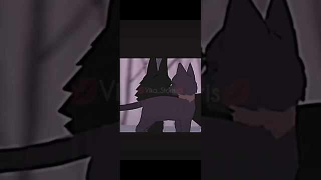 Коты_Воители