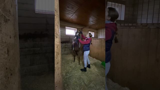 Af0fd2ba91c8d3c789b9904b550e7611