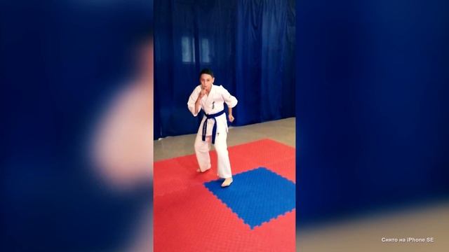 IPhone SE — Camera Test [KARATE]