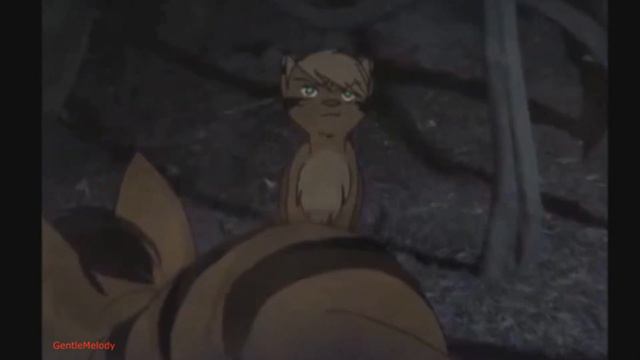 Звездоцап│Коршун и Ежевика - я не тот, кем ты хочешь, чтоб я был.