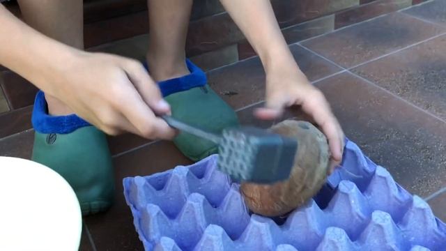 Как открыть кокос дома? Как разбить кокос правильно / Coconut