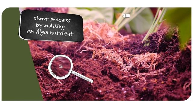 Organic Or Mineral Growing?