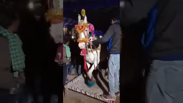 3b897365bf8fe52667de1a88134ca69f