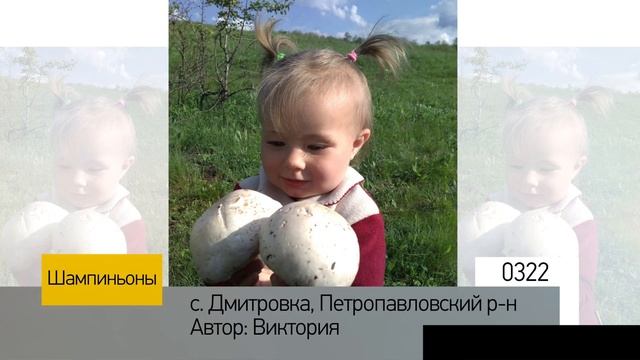 Фотоальбом - Тихая охота №065