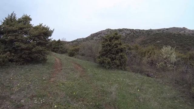 [ 4K ] КРЫМ.Можжевеловая роща.15 минут расслабляющего видео под пение птиц. 25 апреля 2022.