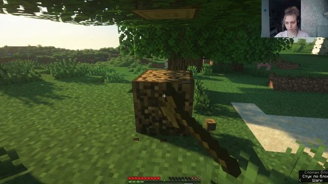 Let's Play Softy #1 / Версия 1.16.5 Minecraft / Основы основ