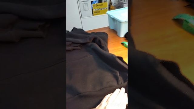 C87310e55057675c5b29e0b462682945