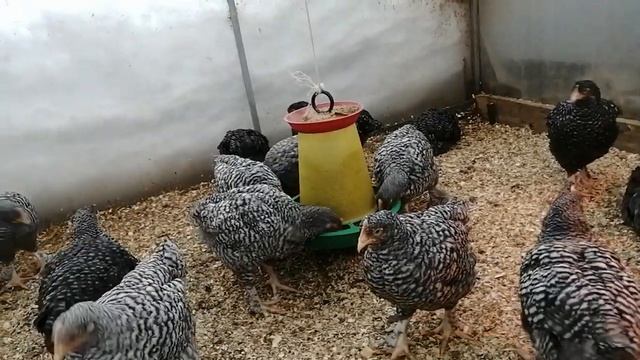 27476c3756d61d5c448c766e98e8b230