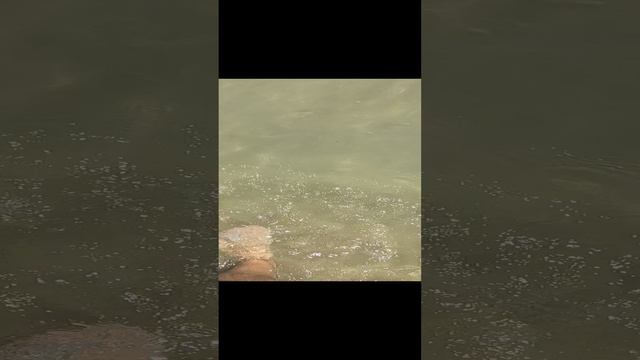 SUNCHOSSLIVE - пляж